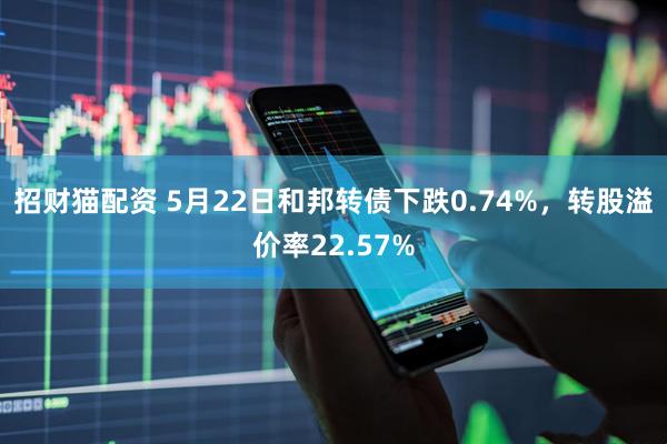 招财猫配资 5月22日和邦转债下跌0.74%，转股溢价率22.57%