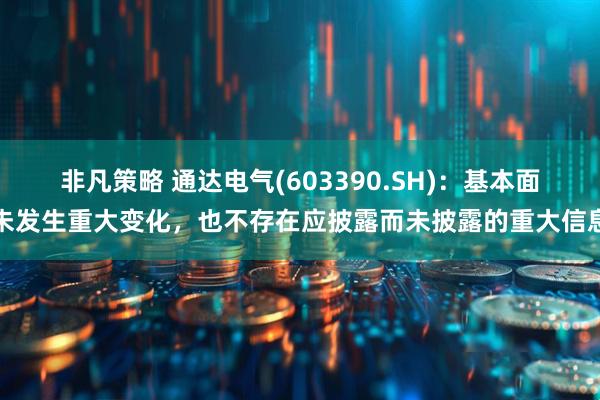 非凡策略 通达电气(603390.SH)：基本面未发生重大变化，也不存在应披露而未披露的重大信息