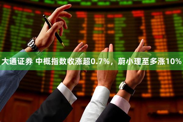 大通证券 中概指数收涨超0.7%，蔚小理至多涨10%