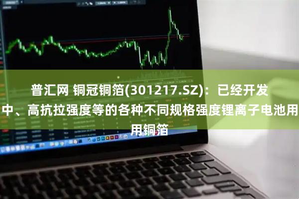 普汇网 铜冠铜箔(301217.SZ)：已经开发出了中、高抗拉强度等的各种不同规格强度锂离子电池用铜箔