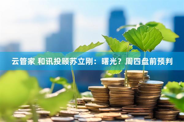 云管家 和讯投顾苏立刚：曙光？周四盘前预判
