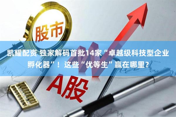 凯耀配资 独家解码首批14家“卓越级科技型企业孵化器”！这些“优等生”赢在哪里？
